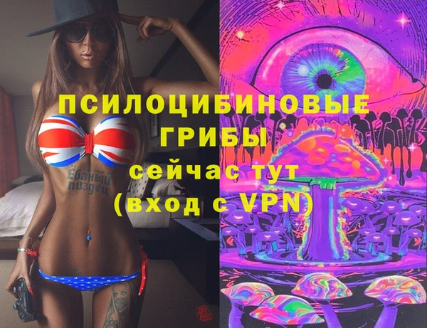 крисы Алексин