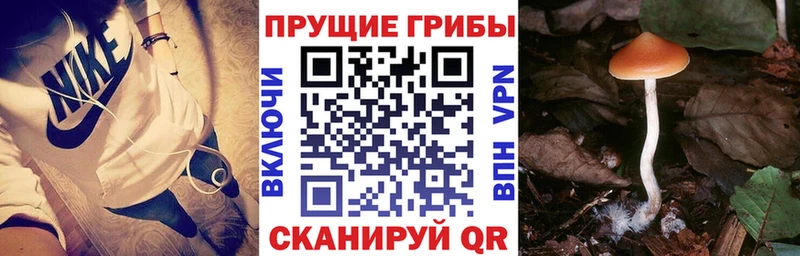 Галлюциногенные грибы Magic Shrooms Петровск-Забайкальский
